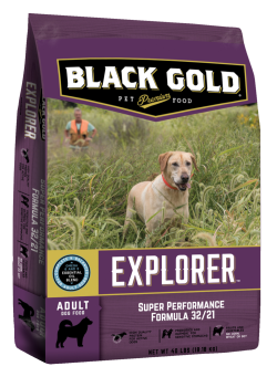 Black gold explorer puppy formula deals